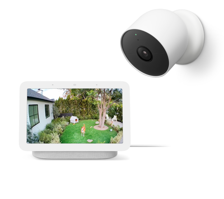 Nest cam